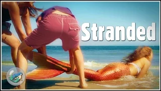 Life as a Mermaid ▷ Season 2 | Episode 4 - "Stranded"