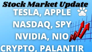 Update on the Nasdaq, Tesla, Apple, Nvidia, Palantir, Nio, Ethereum, Xpeng, Shopify, Amazon, Bitcoin