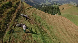 Brielmaier Motormäher im Gühn (Marbach LU)