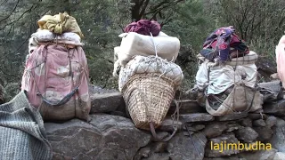 need rest || himalayan life || village life || Nepal ||