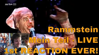 RAMMSTEIN - Mein Teil - Live At Hurricane Festival 2013 - 1st REACTION!