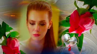 #ElçinSangu - Love's Theme