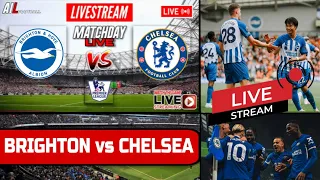 BRIGHTON vs CHELSEA Live Stream Football EPL PREMIER LEAGUE Commentary + LIVESCORES