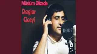 Dağlar Çiçeyi