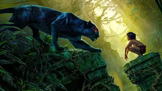 An Orphan Boy Uses the Greatest Human Invention in the Forest to Be the Ruler of All Animals.