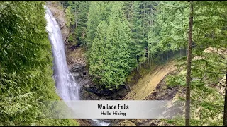 Hiking Wallace Falls, WA Trail #9 March 2021. Northern Cascades