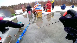 Экстремальная рыбалка продолжается... Лёд тонет от рыбаков! Зимняя рыбалка 2020-2021! Безмотылка!