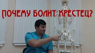 Болит крестец.Ответы на вопросы. Доктор Алексеев. Aching sacrum. Answers on questions. Dr. Alekseev.