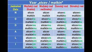 Словацкий язык. Урок 418. - Имя прилагательнoе. Склонение – образец „otcov/matkin“ (4.). - 12.