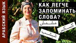 Как легче запоминать слова? Звуковые сходства в 4-х буквенных корнях слов. Арабский язык