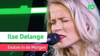 Ilse DeLange - Dreams (Fleetwood Mac cover) live @ Ekdom in de Morgen