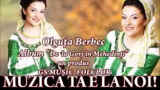 DE LA GORJ IN MEHEDINTI - COLAJ ALBUM OLGUTA BERBEC #OlgutaBerbec