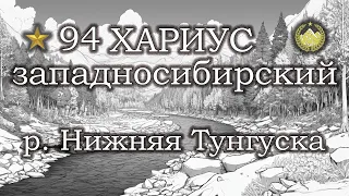 ✮ р. Нижняя Тунгуска ✮ Хариус западносибирский ✮ Русская рыбалка 4 ✮