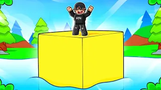 I Built The BIGGEST Cube In ROBLOX