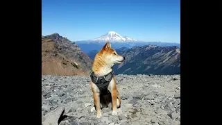 ENTIRE Pacific Crest Trail in 30 minutes