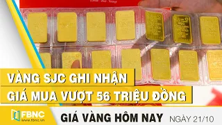 Giá vàng hôm nay 21/10 | Vàng SJC ghi nhận giá mua vượt 56 triệu đồng | FBNC