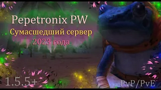 Открытие НОВОГО Сумасшедшего проекта 2023 года! PvP и PvE направление Уникал концепция Pepetronix PW