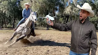 I TRAINED My Horse With A DRONE
