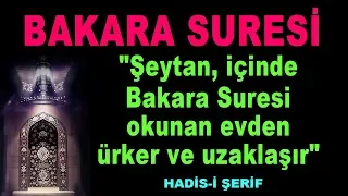 Bakara Suresi Tamamı - Okunaklı ve Takipli / Okuyan : Hafız Mustafa Uyar