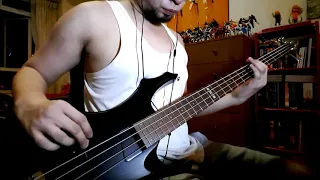 Red Hot Chili Peppers - Venice Queen Live @ Slane Castle (Bass Cover)