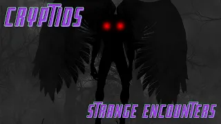 Strange Encounters | Cryptids Vol. 1