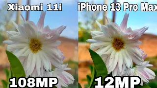 Xiaomi 11i Vs iPhone 13 Pro Max Camera | 108MP vs 12MP