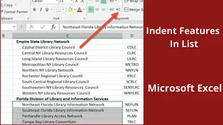 How To Use The Indent Feature In Lists ?  Microsoft Excel