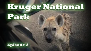 Satara Trip | Kruger National Park | 4 of the big 5 at one sighting | Episode 2