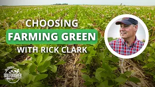 The Benefits of Green Farming with Rick Clark | Soil Food Web School