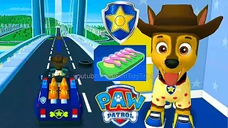 PAW Patrol: A Day in Adventure Bay - Chase #1