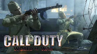 Battle of Stalingrad - CALL OF DUTY WORLD AT WAR NPC Wars