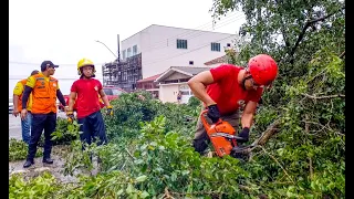 Defesa Civil Municipal monitora pontos de alagamentos em áreas de risco