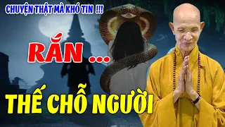 Rắn Thế Chỗ Người Chết - Chuyện Tâm Linh Có Thật Ht Thích Giác Hạnh Tận Mắt Chứng Kiến