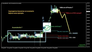 Acción del precio : Trading con Market Profile