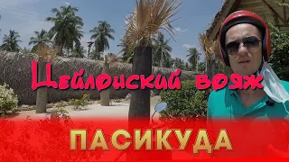 Цейлонский вояж 4 серия - Пасикуда