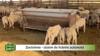 Zootehnie   sistem de hrănire automată 29 06 2021