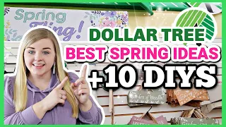 IMPRESSIVE High-end DOLLAR TREE DIYS! (not tacky!) | Krafts by Katelyn