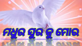 ମଧୁର ସୂର କୁ ମୋର ସଜାଇବି ଗୀତ ତୁମର ll madhu suraku Mora sajaibi gita tumara ll christiansongs