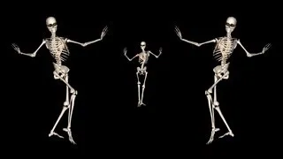 Skeleton Belly Dance Trio