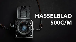 HASSELBLAD 500CM | Review & Sample Photos