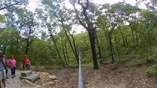 Colby zipping through the trees at Eco Adventure Ziplines