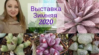 Выставка Кактусов🌵зимняя❄️⛅23-2-2020