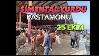 KASTAMONU HAYVAN PAZARI 25 EKİM 2023 GÜNCEL FİYATLAR