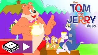 Tom și Jerry | Vise plăcute | Cartoonito