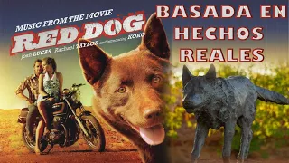 RED DOG Trailer alternativo con Sinopsis / Errores / Verdadera Historia / Datos Curiosos.