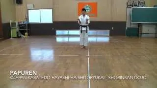 Papuren - Japan Karatedo Hayashi-ha Shitoryukai