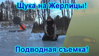 Щука на Жерлицы! Атака Щуки на Живца! Подводная съемка!