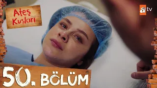 Ateş Kuşları 50. Bölüm @atvturkiye