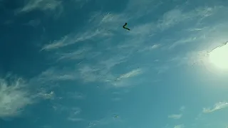 James Hoy's Dragonfly 2 boomerang slow motion