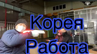 МОЯ РАБОТА В ЮЖНОЙ КОРЕЕ // ВЛОГ-059